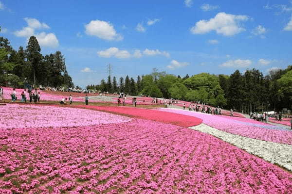 春の国内旅行におすすめの観光地44選！春がベストシーズンの旅先ガイド1.jpg