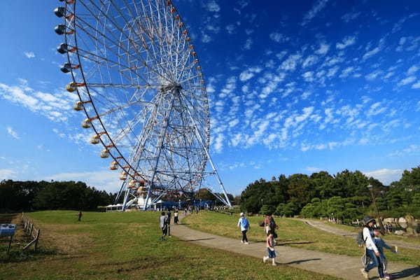 春の東京デートに！カップルにおすすめのおでかけスポット20選1.jpg