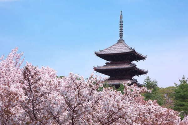 京都でおすすめの寺・神社49選！観光客に人気＆世界遺産の寺社リスト