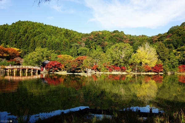 秋の白水阿弥陀堂は雅で幽玄の世界【福島】