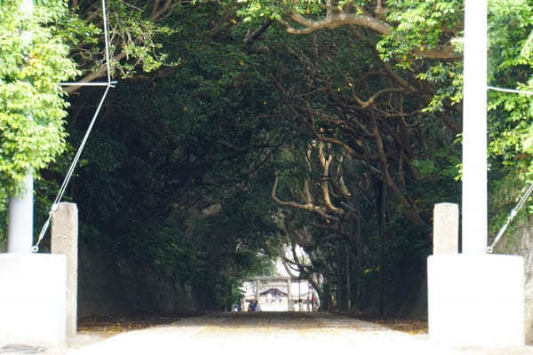 マジか！【茨城・酒列磯前神社】累計60億円の宝くじ当選を出し続ける脅威の神社