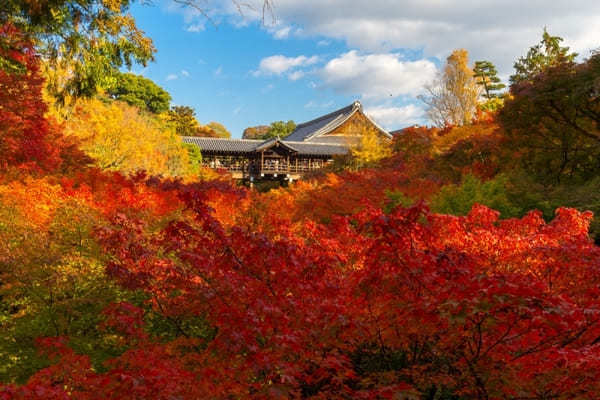 京都でおすすめの寺・神社49選！観光客に人気＆世界遺産の寺社リスト