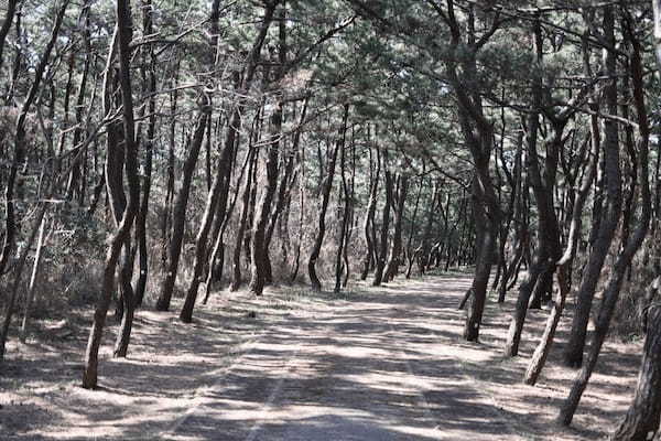 房総のインスタ映えスポットを攻めまくれ！【富津岬:東京湾観音:鴨川松島:鵜原理想郷】1.jpg