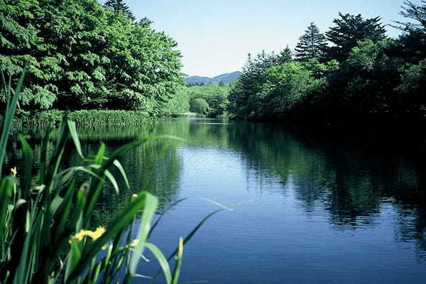 軽井沢の自然を感じながら散歩を楽しむ。おすすめの場所をご紹介。