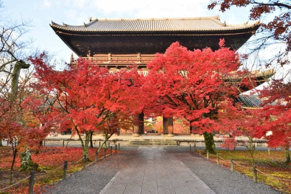 京都でおすすめの寺・神社49選！観光客に人気＆世界遺産の寺社リスト