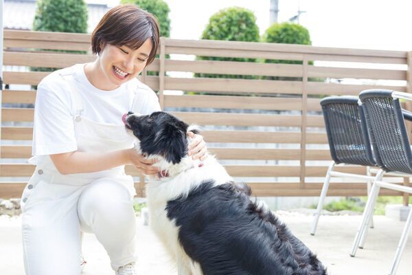 ペットシッターに愛犬のお世話を頼もう！内容・料金・注意点などを徹底解説