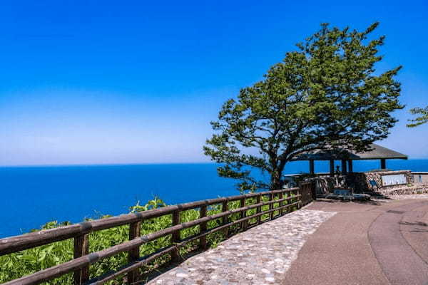 【新潟】高田城址公園・親不知海岸・うみがたり日帰り観光モデルコース1.jpg