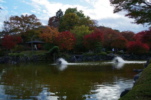 【群馬県】国指定名勝「桜山公園」を包み込む紅葉ライトアップと冬桜のコラボを見に行こう