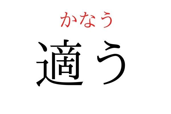 間違えている人多数！「適う」何て読む？