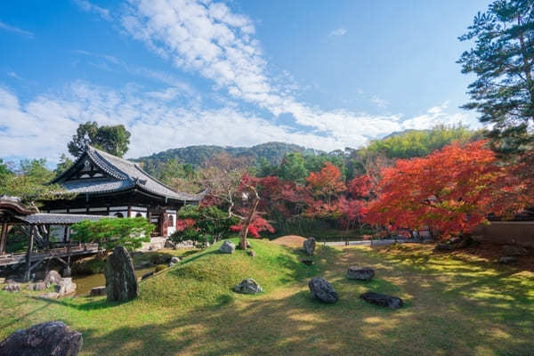 京都でおすすめの寺・神社49選！観光客に人気＆世界遺産の寺社リスト