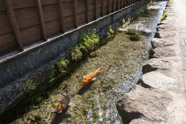 煌く湧水に癒される町 長崎島原で「湧水庭園四明荘」とその周辺を巡る