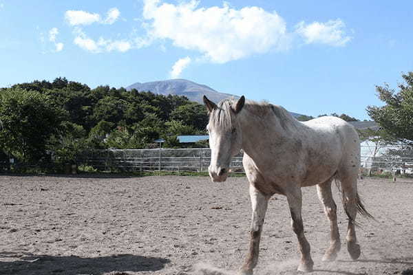 子どもも楽しめる、軽井沢のアクティビティで自然を満喫