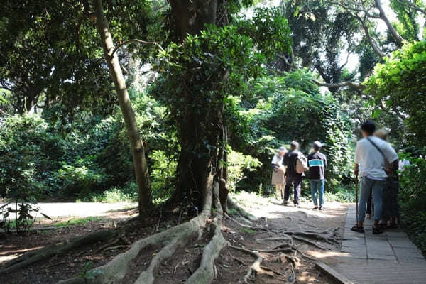 猿島観光の所要時間、マップ、1日の見どころや子連れ情報まで【横須賀】