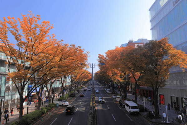 東京の紅葉名所19選！都会の真ん中で燃えるような紅葉を楽しもう！