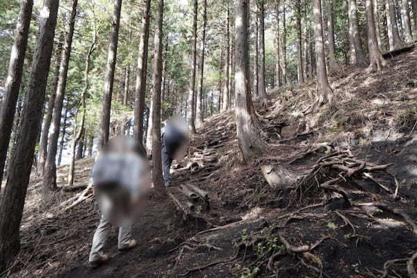 【神奈川・矢倉岳】神が宿る山で低山登山を楽しむ1.jpg