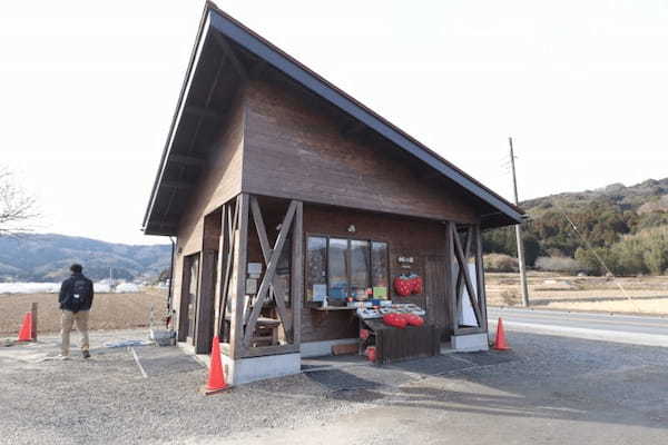 いばらキッスあり！茨城のいちご狩りなら「辻いちご団地」が断然おすすめ！1.jpg