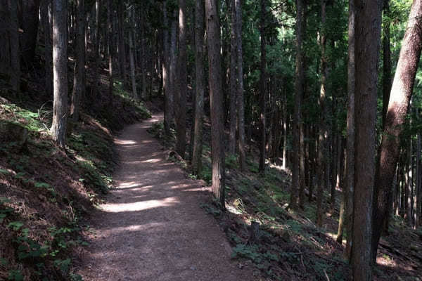 【長野県】天空の村・南信州「下栗の里」が絶景すぎてスゴイ！