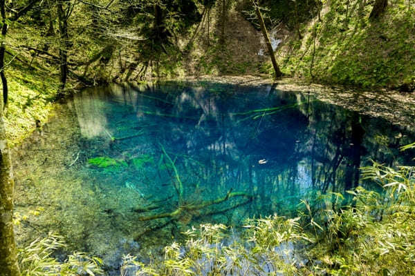 【青森】絶景！コバルトブルーの青池！十二湖トレッキングツアー