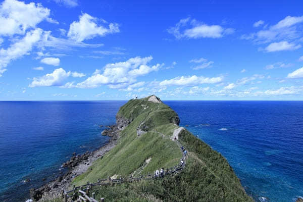 【北海道】絶景「積丹ブルー」とウニの旅