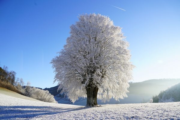 2月の時候の挨拶まとめ。手紙などに使える季節に合わせた書き出しをレクチャー