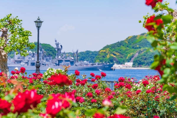 全国のおすすめ花畑85選！一面に絶景が広がる花の名所ガイド