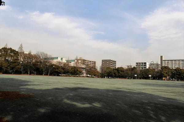 【東京・木場公園】河津桜でお花見♪2月から都心で桜を楽しもう1.jpg