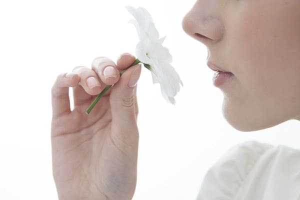 花言葉が「助けて」の花は何の花？怖くて面白い花言葉の世界