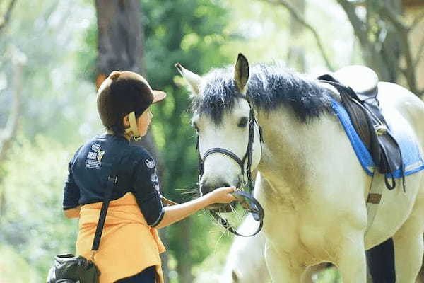 【関東・東海・関西】今が見頃の梅名所17選！梅まつり情報や周辺レジャー情報も