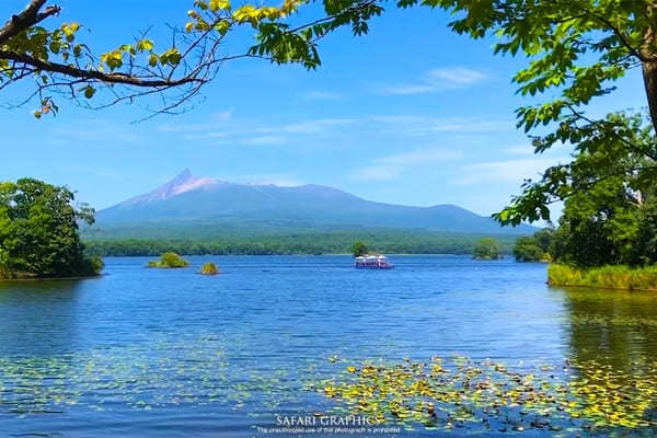 【北海道】大沼の美食と絶景を満喫！湖上テラスで優雅なクルーズランチ