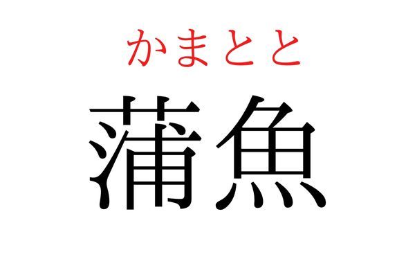 【読めたらすごい】「蒲魚」何て読む？