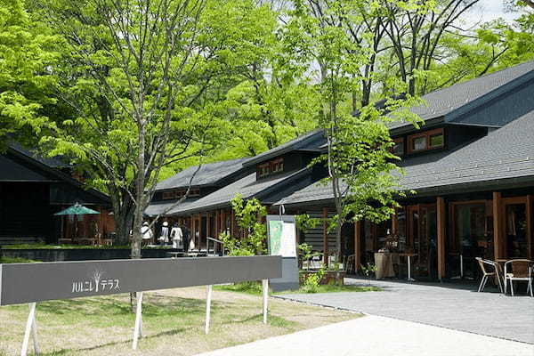 雨の日でも楽しめる。軽井沢のおすすめ観光スポットをご紹介