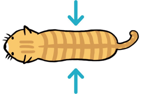 【獣医師監修】愛猫が肥満気味？適正体重やダイエット方法について獣医師が紹介