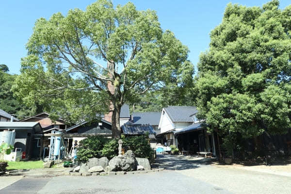 【千葉】発酵づくしの空間！神崎町の酒蔵・寺田本家とカフェうふふ