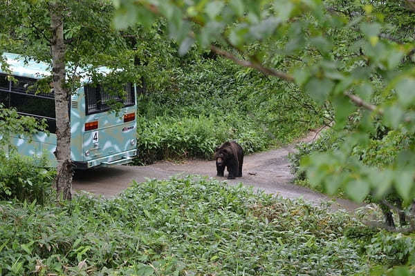 雨の北海道観光におすすめ！雨の日でも楽しめる観光スポット49選