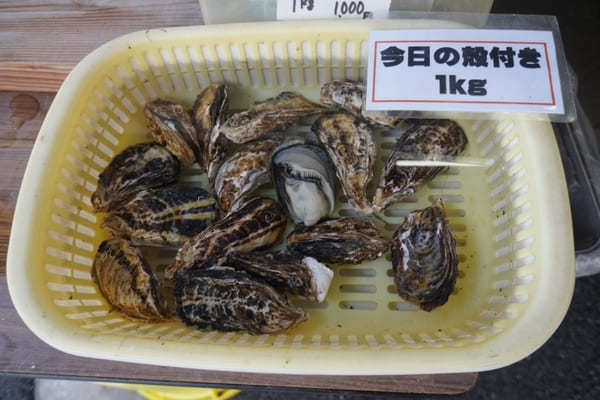 【兵庫・赤穂】お食事処かましまで絶品牡蠣料理を楽しもう