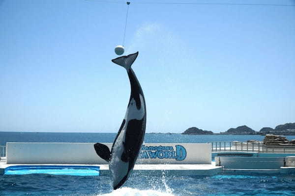 千葉のおすすめ水族館・動物園13選！海の生き物＆動物に触れ合えるスポット特集1.jpg