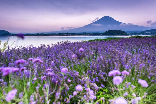 甲信越のおすすめ絶景スポット30選！感動の景色を見に出かけよう