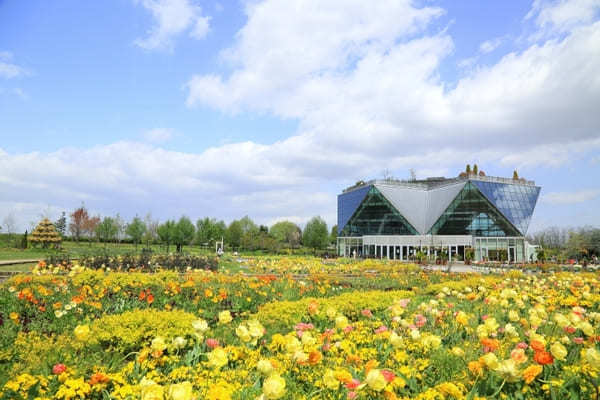 全国のおすすめ花畑85選！一面に絶景が広がる花の名所ガイド