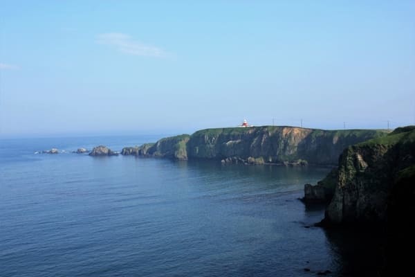 【北海道】道東エリアで感じる大自然！霧多布湿原＆霧多布岬絶景ガイド