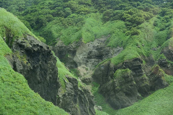 四季折々の美しさを見せる新潟絶景スポット越後七浦シーサイドライン