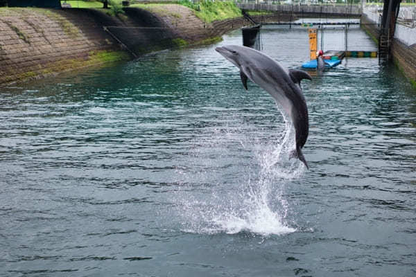 鹿児島市内＆桜島の人気名所をめぐる1泊2日観光モデルコース