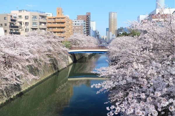 【東京】江戸のリゾート・目黒、中目黒を散策しよう！5つの楽しみ方