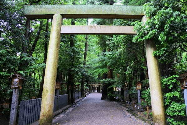 【三重】がんばる人の強い味方！道ひらきと芸能の神さま「椿大神社」1.jpg