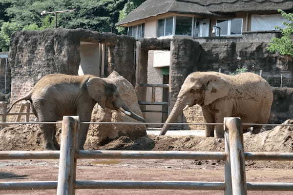 【2021年版】全国の人気動物園TOP19！みんなが行った動物園ランキング1.jpg