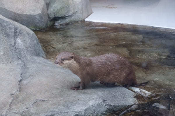 【香川】四国最大の海のミュージアム「四国水族館」5つの見どころガイド