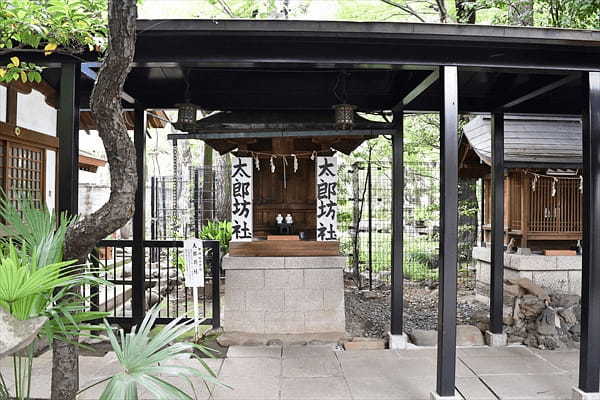 愛宕神社 東京23区最高峰の神社！？出世の石段を登って運気アップ！