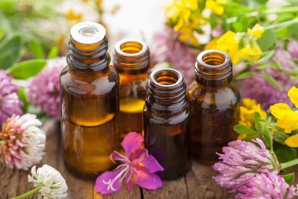 【基本から応用まで】アロマオイルの使い方9選。簡単に香りを楽しめる方法を紹介