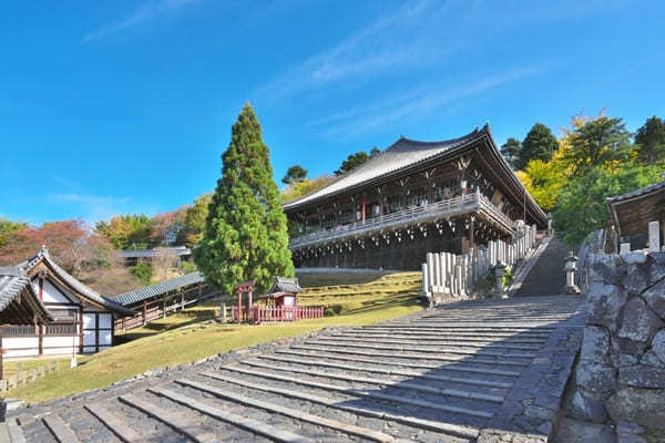 【奈良】平城宮跡・東大寺・若草山をめぐる日帰り観光モデルコース