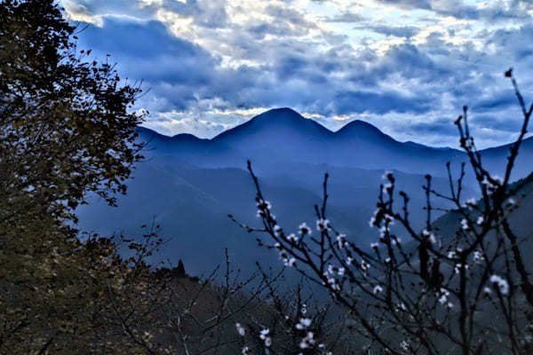 【群馬県】国指定名勝「桜山公園」を包み込む紅葉ライトアップと冬桜のコラボを見に行こう