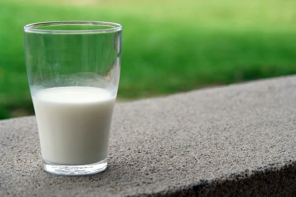 【夢占い】牛乳が夢に出てきたときの暗示・意味とは？